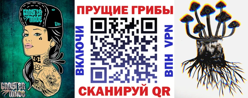 Псилоцибиновые грибы Magic Shrooms  купить наркотик  Олонец 